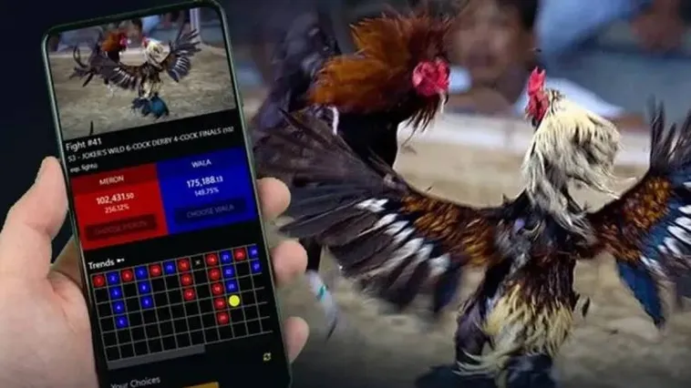 Đá Gà OnBet Hé Lộ Bí Kíp Thắng Lớn Mỗi Ngày 1 Đá Gà OnBet Hé Lộ Bí Kíp Thắng Lớn Mỗi Ngày